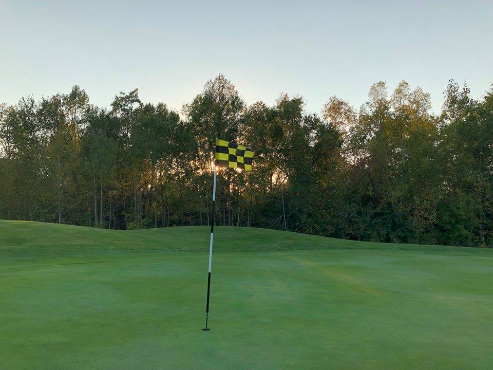 Golf course green with trees